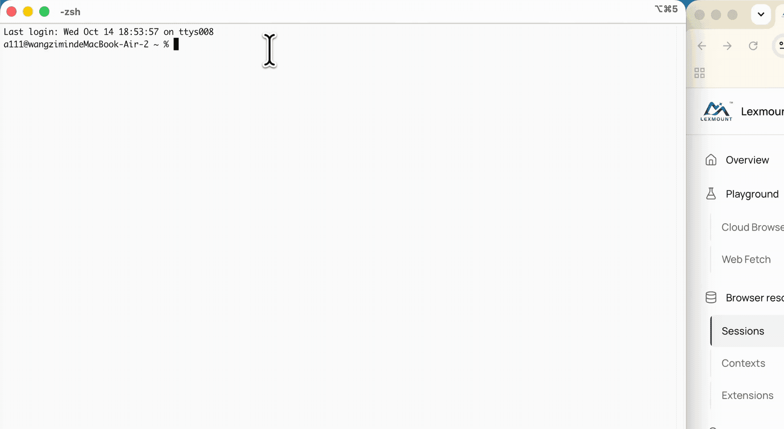 Demo · A cloud browser automatically completes CAPTCHA verification